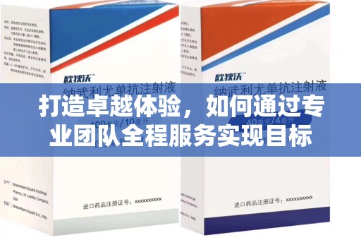 渭南打造卓越体验，如何通过专业团队全程服务实现目标
