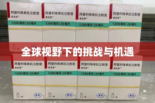渭南全球视野下的挑战与机遇