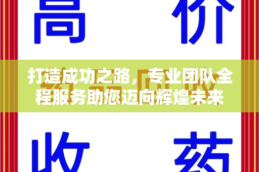 渭南打造成功之路，专业团队全程服务助您迈向辉煌未来