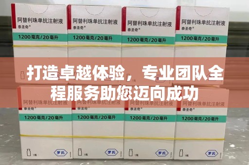 渭南打造卓越体验，专业团队全程服务助您迈向成功